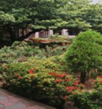 Green Campus